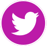 Twitter Share Icon